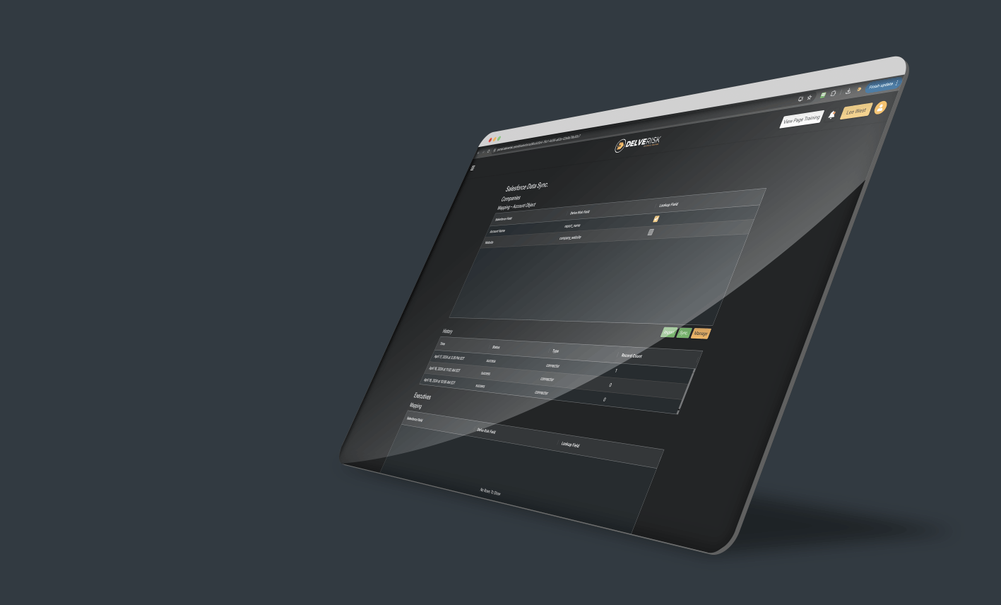 Web browser showing off the CRM Integration from the Delve Risk Portal.