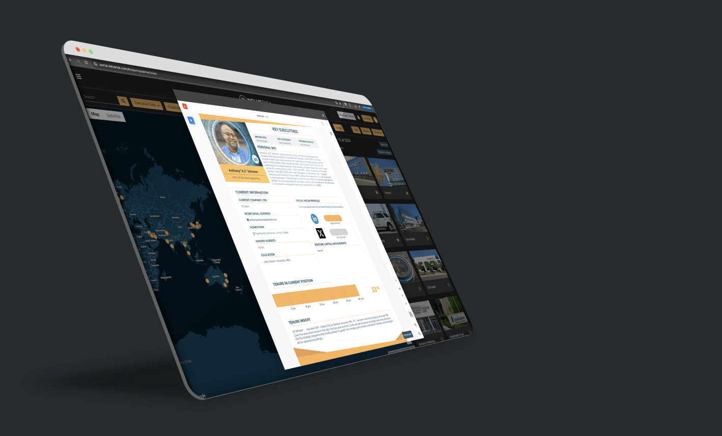 Web browser showing off the Executive Information from Delve Risk Snapshot Report™ in the Portal.